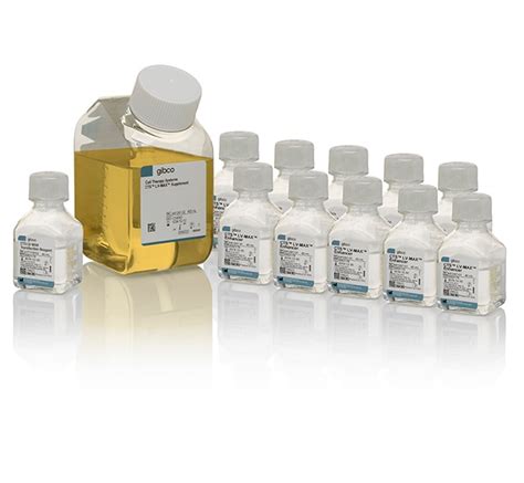 cts lv max|lv max transfection kit.